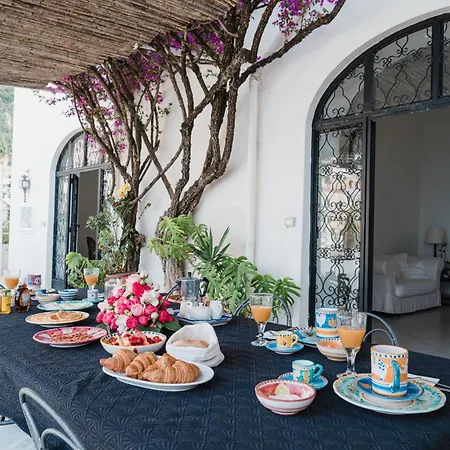 Petite Syrene By Elite